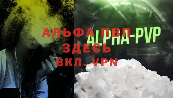 СК Надым