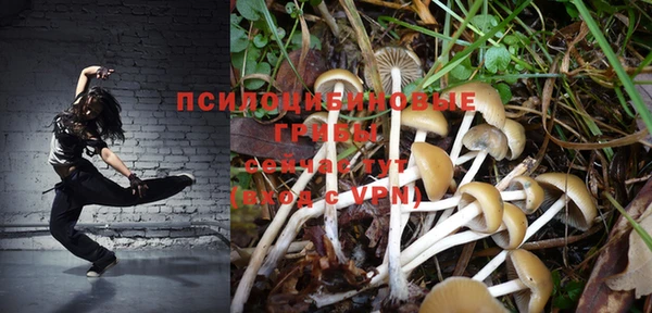 jwh Апатиты