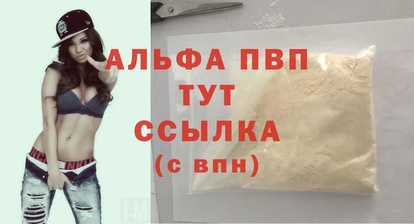 СК Надым